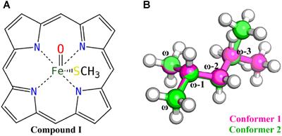 Computational Insight Into Vitamin K1 ω-Hydroxylation by Cytochrome P450 4F2